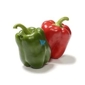 Bell Pepper / Pedada